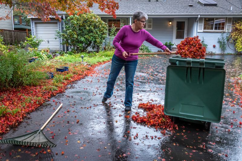 Clean Yard in Fall