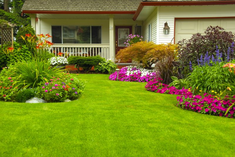 Lawn and Plantings