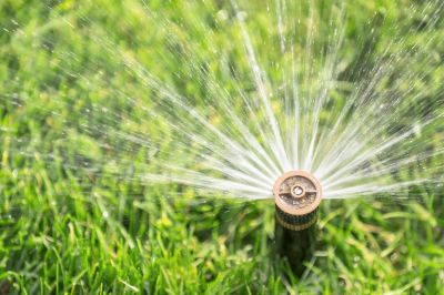 Protecting Sprinkler Heads